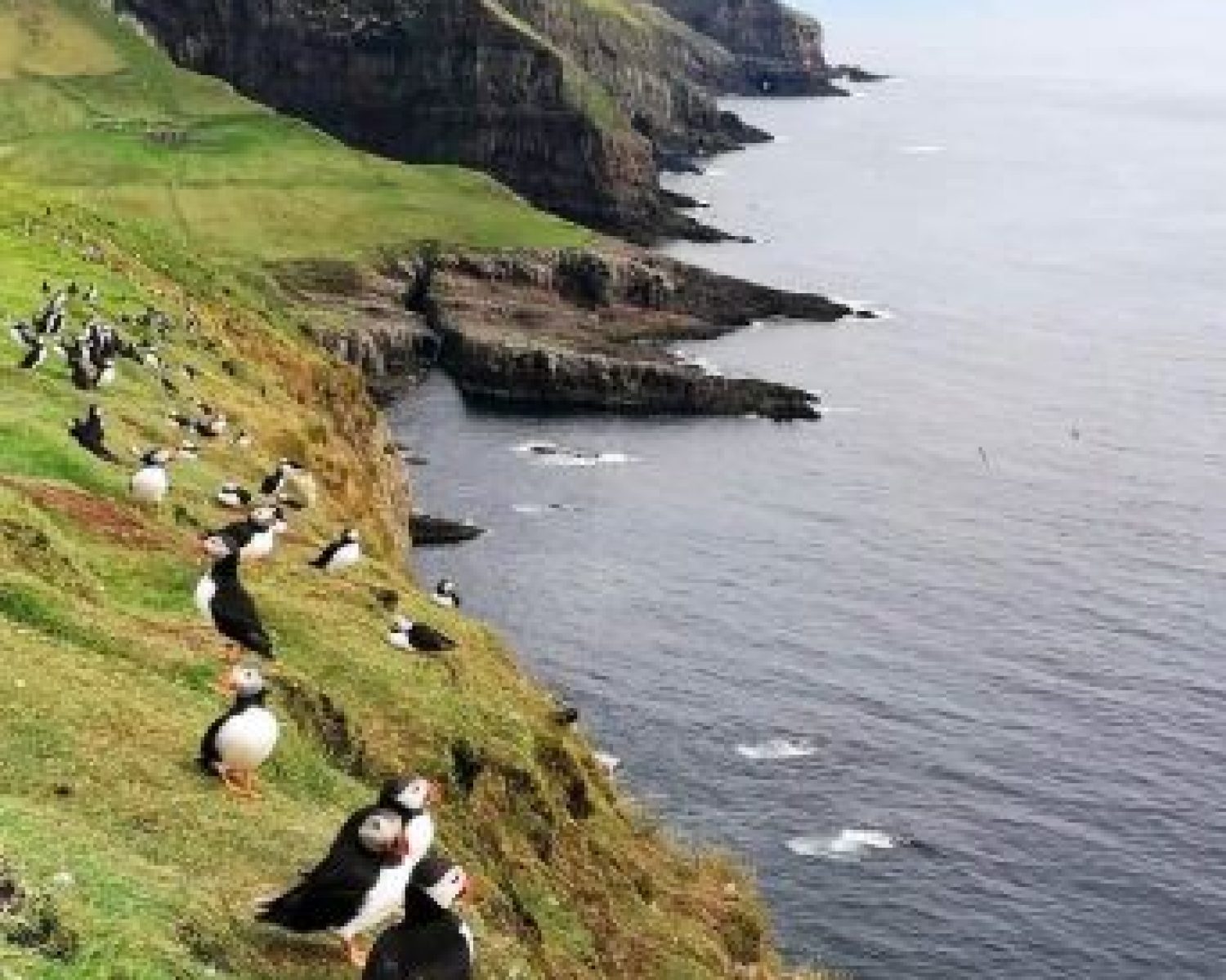 FAROE ISLANDS 4